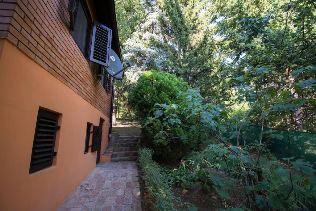 Happy House Villa Velika Remeta Exterior photo