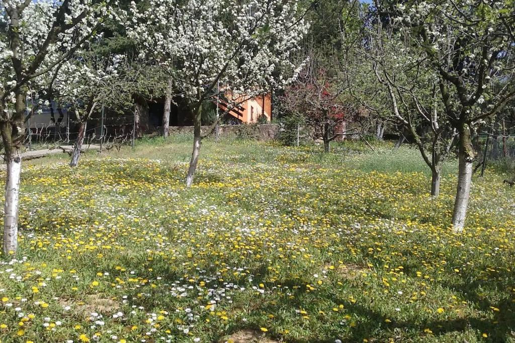 Happy House Villa Velika Remeta Exterior photo
